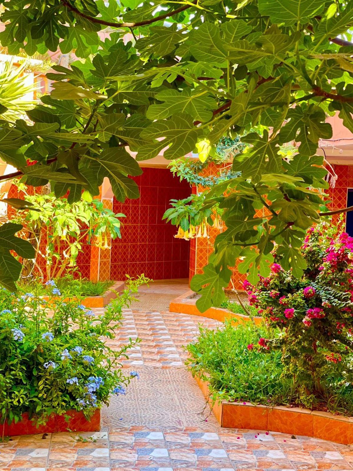 Surf & Salsa Ocean House Bed & Breakfast Tamraght Bagian luar foto