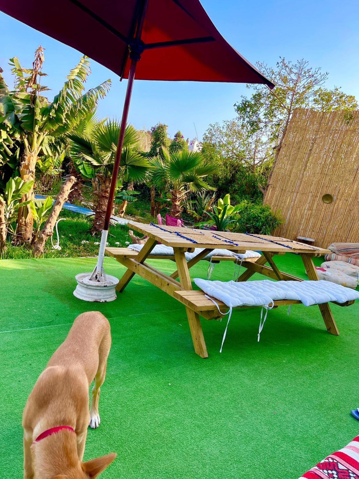 Surf & Salsa Ocean House Bed & Breakfast Tamraght Bagian luar foto